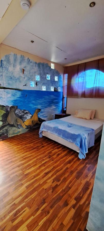 Cozy Hosting Galapagos Apartamento Puerto Ayora  Exterior foto